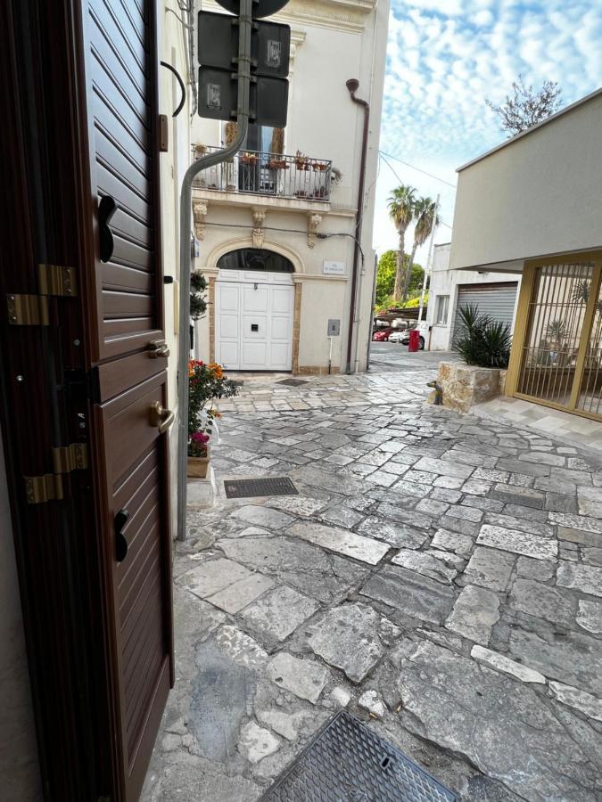 Il Bassotto برينديسي المظهر الخارجي الصورة